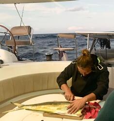 <b>WhatsApp Image 2025-11-27 at 20.34.22</b>